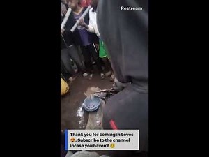 Traditional Circumcision in Kenya, Africa