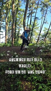 #승봉도 #승봉도여행 #승봉도산림욕장 #승봉도명소 #승봉도수국 #힐링여행 #섬여행 #인천섬여행 #산림욕장 #걷기좋은길 #힐링의섬승봉도 #승봉도관광발전협의회 #승봉도일도네펜션