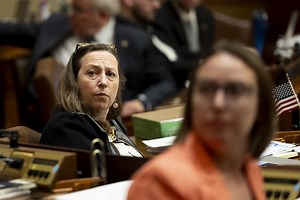 State Rep. Kaela Berg enters race for Minnesota's Second District