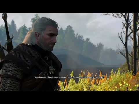 Helping Man From Drowners #pcgaming #trending #viral #witcher