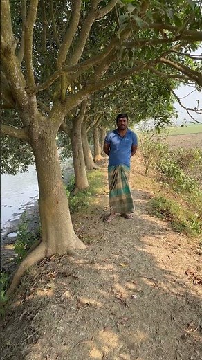 Bangla Natok #comedy