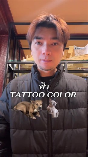 #ฟ้า Tattoo Color #ยุค90 มารวมตัวกัน🐶🐶🐶🐶🐶