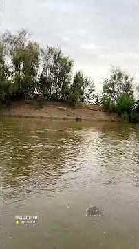 #دندنة_عزاوي_مع_مناظر_جنوبية_بصوت_علي_دمنان_البارقي🎤