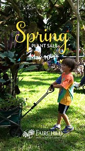 The Fairchild Spring Plant Sale is back! Explore an incredible selection of rare and exotic plants, grown by Fairchild's expert Horticulturists. Find the perfect gift for Mom or add a unique plant to your collection from any of participating plant vendors. Don’t miss guided tours and expert advice to help your garden thrive. Mother's Day Weekend, May 10 and 11, from 10:00 a.m. to 5:00 p.m. General Admission included! Get Your Plants—Buy Now! | Fairchild Tropical Botanic Garden | Facebook