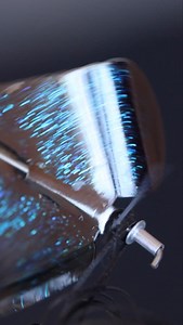 1.5K views · 359 reactions | Take your pick  | Dirty Jigs Tackle | Facebook