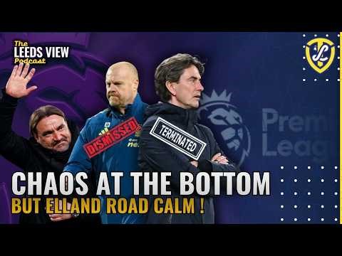 Chaos At The Bottom | The Leeds View Podcast. A Leeds United Podcast