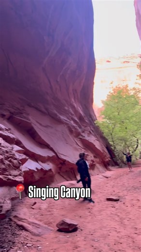 SHARE!! Boulder is so boring…” please, come on!! We had so much fun exploring this area! There’s no way you’ll ever be bored here. We started with Singing Canyon, where the echo makes your voice sound magical — people bring guitars and sing because the acoustics are unreal. 🎶 Then we hiked Lower Calf Creek Falls, one of the prettiest trails in Utah — about 6 miles round trip, so bring water, snacks, and sunscreen! 🥾☀️ We also explored the slot canyons Peekaboo, Spooky, and Zebra Canyon, and fi