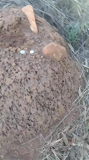 #BOLOI JWA CHELETE MO GODIMO GA SEOLO | Les Mpete