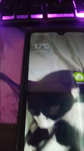 COMO CONECTAR A INTERNET NO PC