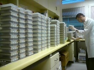 Chemical library - Alchetron, The Free Social Encyclopedia