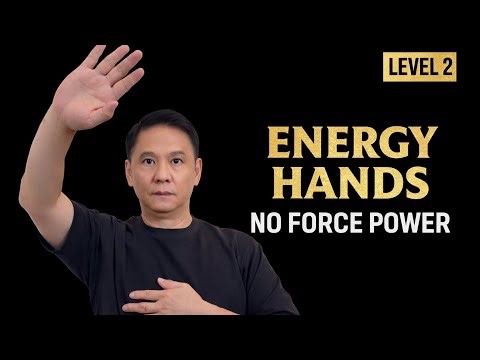 Heavy Power Without Force? Wing Chun Energy Hands Level 2
