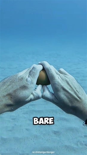 Have You Ever Seen an Egg Break Underwater? 🤨
