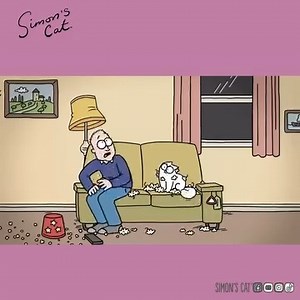 Simon's Cat | Scaredy Cat #cat #catlife #catlover #simonscat #FunnyCats #catvideos | Love Cats