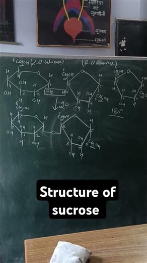 structure of sucrose #biomolecules