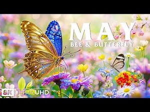 Springtime Splendor 4K | Buzzing Bees & Butterfly Garden Dreams 🌸 Nature in Full Bloom