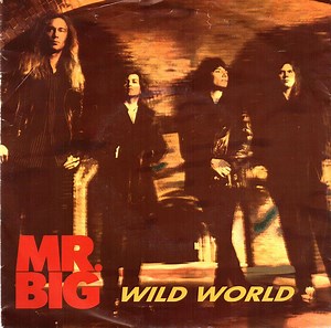 Mr. Big - Wild World