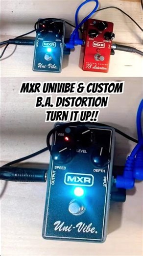 2 4 1 MXR Pedal Demo #guitarshorts #guitargear #guitareffects #pedaldemo #mxrpedals
