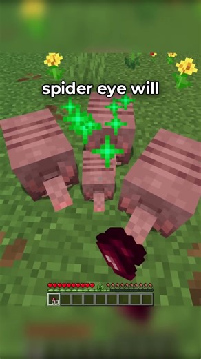 BEST MINECRAFT TIPS OF ALL TIME