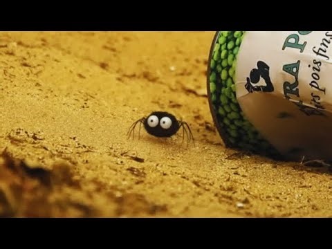 Sneezing Spider 😂 | Funny Cartoon | Minuscule And Friends 🍃 85' Compilation