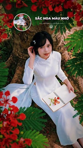 Sắc Hoa Màu Nhớ - Nhạc Vàng Cover | Nguyễn Văn Đông