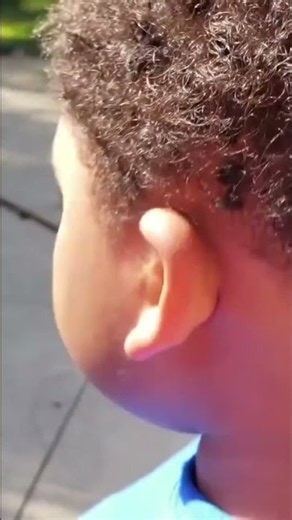 The Kids are Searching Everywhere! #shortvideo #zzkidstv #shortvideo #trending #kidsvideo