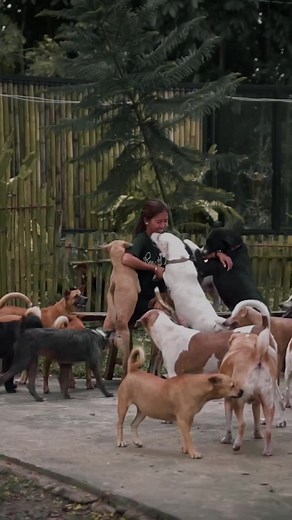 30K views · 2.2K reactions | In the quiet moments, when the world’s...