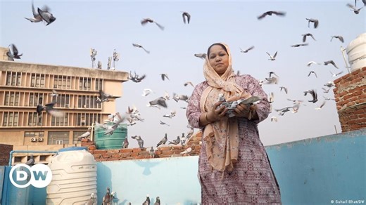 India: Meet the woman passionate about pigeon racing