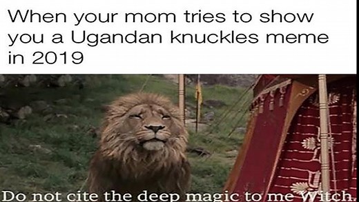 Memorable Quote From Aslan in the "The Chronicles of Narnia" Sparks Hilarious Memes