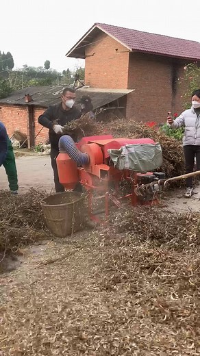 Soya beans thresher ,help small soya beans farmers to harvest the soya beans easily!#dawnagro #machinery #farmer #thresher