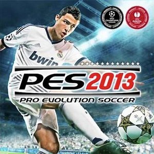 Pro Evolution Soccer 2013 registry