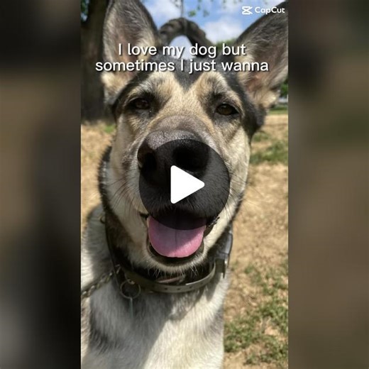 Celebjihad (@celebjihad0)’s videos with original sound - Celebjihad