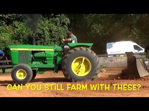 Heavy Farm Stock A.A. Co. Fair '25