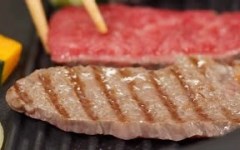 cooking with dog!日本可爱阿姨教大家做美味的日式烤肉!