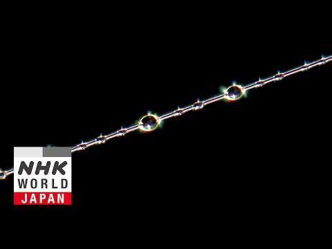 The Tiniest Thread Leading to a Grand Future - Science View