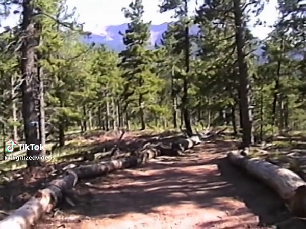 digitizedvideos (@digitizedvideos)’s videos with original sound - サミー