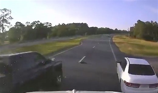 Driver stops to let turtle cross busy road, causes multi-car crash