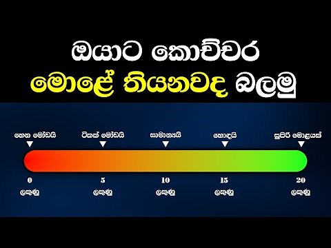 Brain Teasing IQ Challenge for the Creative Minds