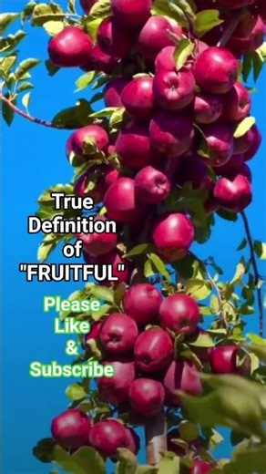 True Definition of FRUITFUL.