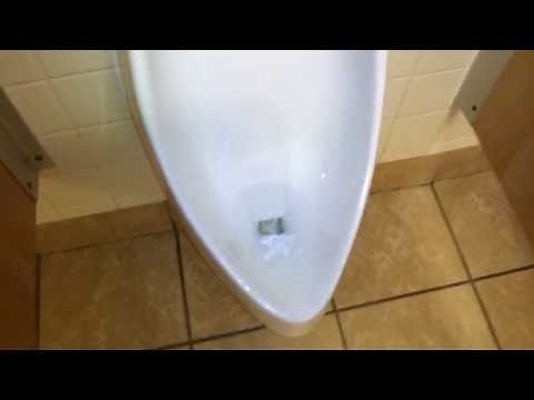 Bathroom Tour: Kohler Toilet and Urinal at a restaurant in Northern VA