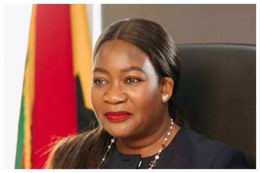 Mineral royalties surge across all sub-sectors in 2025 - MIIF