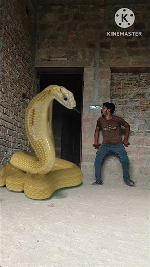 saamp wala cartoon video🐍 snake video #snake #vfx #youtube #shorts