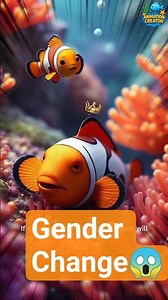 Fun Fact its Nemo's Part 4 #animasishorts #shorts