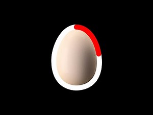 2 Minute Soft-Boiled Egg Timer with Alarm 🍳 | Perfect Egg Cooking Timer