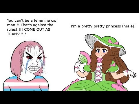 Femboys VS Trans Activists