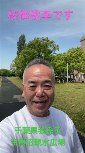 千葉県我孫子市へ！手賀沼の絶景に感動して思わず… #shorts