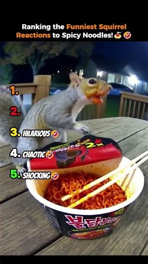 Ranking the Funniest Squirrel Reactions to Spicy Noodles!🔥🍝 #shorts #squirrel #funny