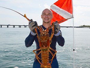 Florida’s spiny lobster season is almost here. What’s the difference between sport and regular season?