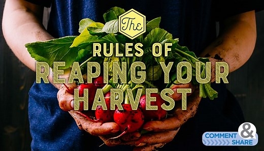 The Rules of Reaping Your Harvest - KCM Blog