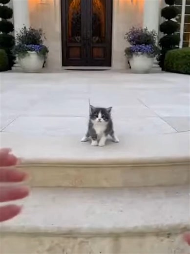 The Skynet can be very cute, beware! #skynet #spyrobot #robot #scary #aivideo #ai