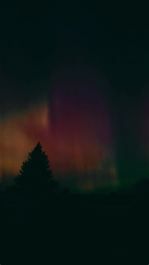 Lesson 17 : don't fear to lose #staystrong #lifemessage #lifelesson #lifeadvice